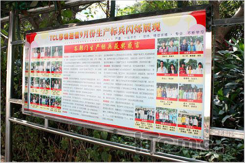 再戰(zhàn)國內(nèi) TCL通訊電子商務(wù)營銷總監(jiān)專訪
