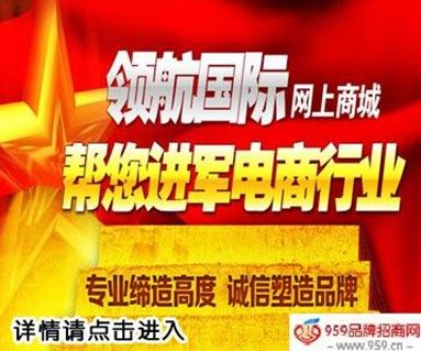 領(lǐng)航國際商盟B2C電子商務(wù)呼叫中心的建設(shè)